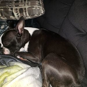 Meet your Posher, Candice